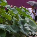 간직하고싶은풍경사진