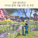 제이앤인터랙티브 | 과천 원더파크 주차 할인 유모차 정보