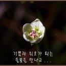 2014 여수숲해설가회 리플레이! 이미지