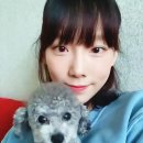 태연라이브 이미지
