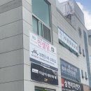 연세유아스쿨어린이집 | 광주 유아 영어수업 브레인나우 후기, 가격 (31갤 오백)