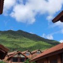 강빛사랑 이미지