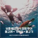 보홀 발리카삭 호핑 후기 운 좋게 본 돌고래 정말 귀여운 바다동물들