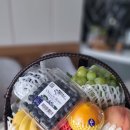 과일애제주