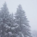 블링블링 셀프세차 이미지