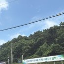 진 양평해장국 | 강화도 해장국 맛집, 술 먹고 다음날 가면 완벽한 해장 가능한 진양평해장국 후기