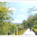 연인에게로 가는 길 / 헤르만 헤세 이미지