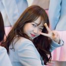 최유정 카카오 검색결과