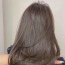 컷트랑파마랑 이미지