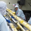 (주)현대푸드시스템 이미지