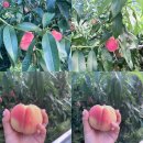 반딧불황토방 이미지