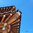 운악채한옥마을5 이미지