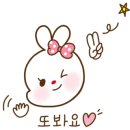 새벽설기 이미지