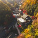 "우리나라 최대 규모 천년사찰 단풍 스케일부터 달라요" 5060이 즐겨 찾는 단풍절경 명소 이미지