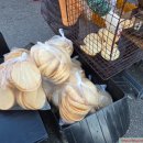 분당장터길 이미지