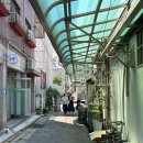 원조삼계탕 | 초복 몸보신ㅣ영등포 원조호수삼계탕 후기ㅣ고추장 포장까지