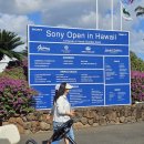 (주)알레아 | 2024 소니오픈 (Sony Open in Hawaii) - 1라운드 직관후기 (김찬프로 팬심으로 ^^)