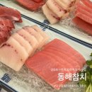 승우2차아파트 | [당산동참치]영등포구청역 참치 맛집, "동해참치"