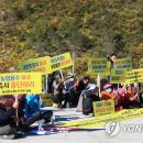 도원2 태양광발전소 이미지