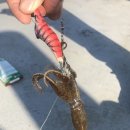 선유1리 이미지