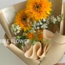 진도꽃집 이미지