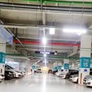 일산호수공원 가로수길 이미지
