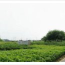 원모텔 맞은편 이미지