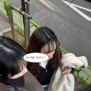 도쿄 2일차 여행코스｜시부야·하라주쿠 하루 코스 (스크램블·스카이·맛집 후기)