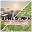 아름다운 골프아카데미 | 샤인데일CC 라운딩 후기 아름다운 새벽 풍경에 &#39;최악의 잔디&#39; 뿌리기