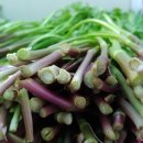 도덕농장 이미지