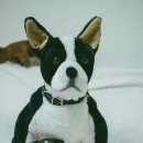 서울특별시 동부여성발전센터 이미지