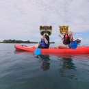 CH관광호텔 | Batam&amp;Bintan🇮🇩