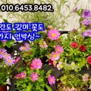 부용슈퍼 이미지