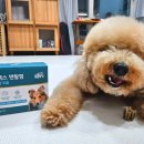 굿모닝덴탈 이미지