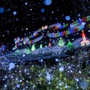 현플라워 이미지