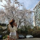 티파니 이미지
