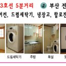 수영동 이미지