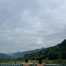 파인트리 스테이 이미지