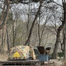 개심사공중화장실화장실 | [캠핑]서산 용현 자연휴양림 캠핑후기(벚꽃 개화상태)_114번 사이트