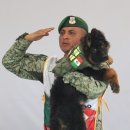 people puppy 이미지