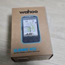 에이스컴퓨터 | 와후 엘리먼트 에이스 Wahoo ELEMNT ACE 자전거...뭐가 다를까? 터치스크린과 윈드 센서 구경한 후기
