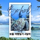 다이브(DIVE) | 보홀 돌조비치 스쿠버다이빙 제프 다이브 Jeff Dive 후기