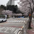 농산물품질관리원 앞 이뉴스투데이