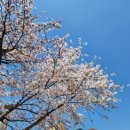병점 신미주아파트 정문 이미지