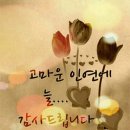 오늘도 덥지만 자알이겨봅시다요 이미지