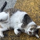 해미관 | 2026년 1월 안녕 29