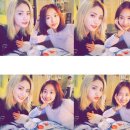 (유)다솜