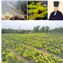 이기영농장 이미지