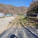 행복한 은혜농장 이미지