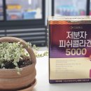 청주가장큰약국 이미지